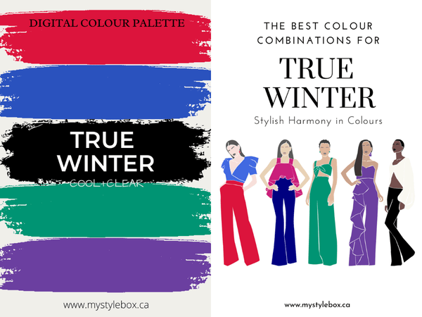 True Winter Digital Colour Palette and Colour Combinations Bundle