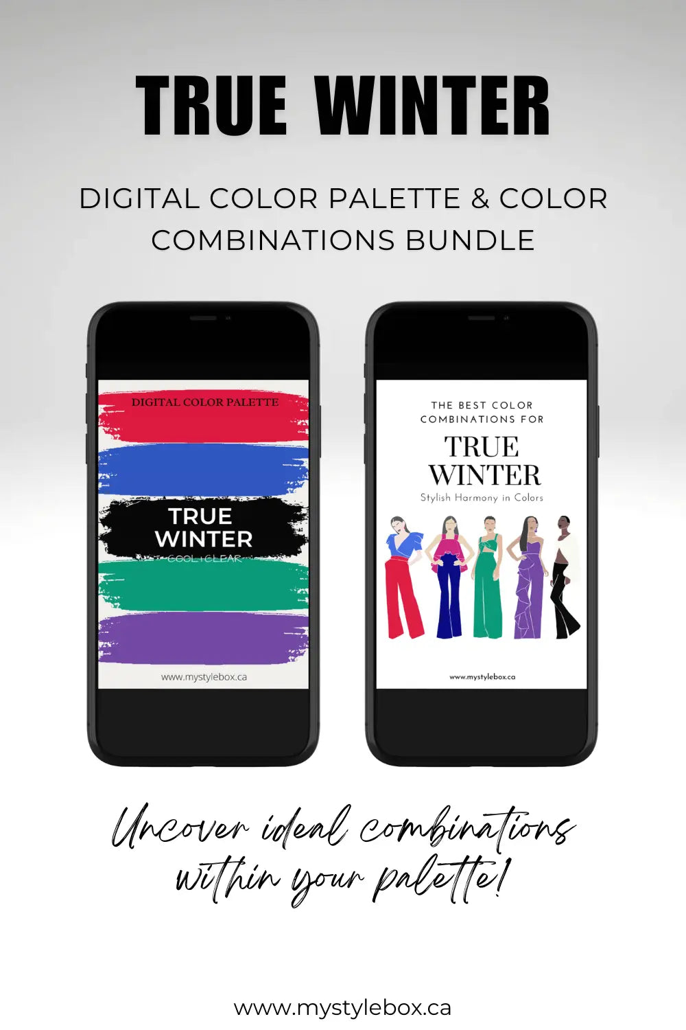 True (Cool) Winter Season Digital Color Palette and Color Combinations