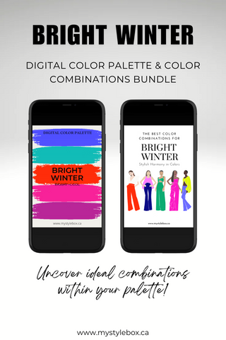 Bright Winter Season Digital Color Palette and Color Combinations Bundle