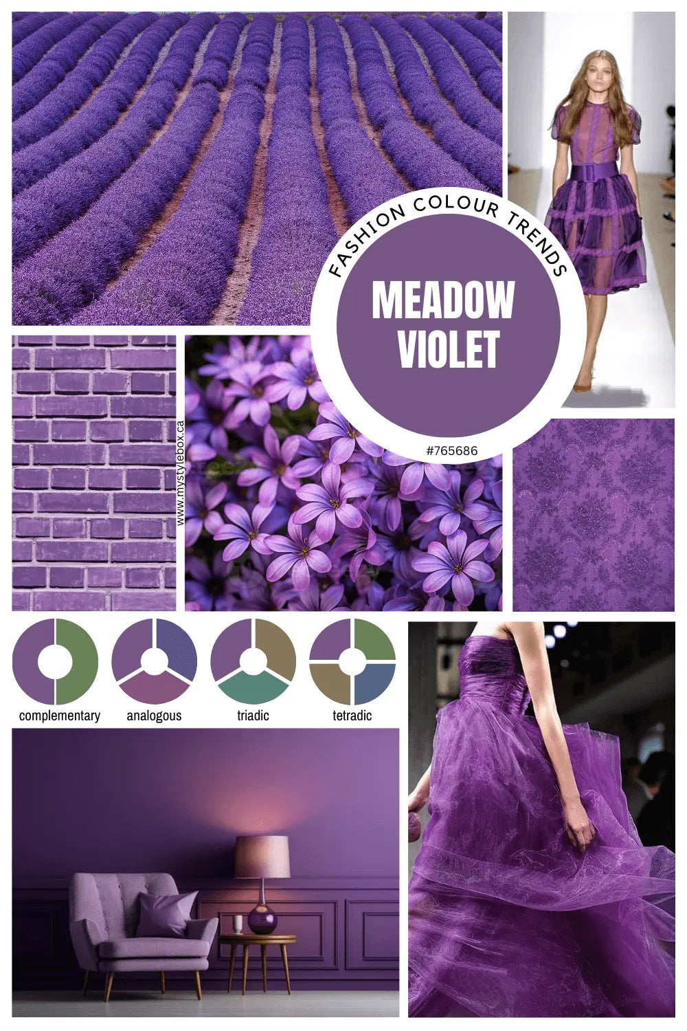 Fashion Color Trends