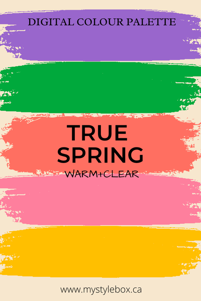 True Spring Digital Colour Palette and Colour Combinations Bundle